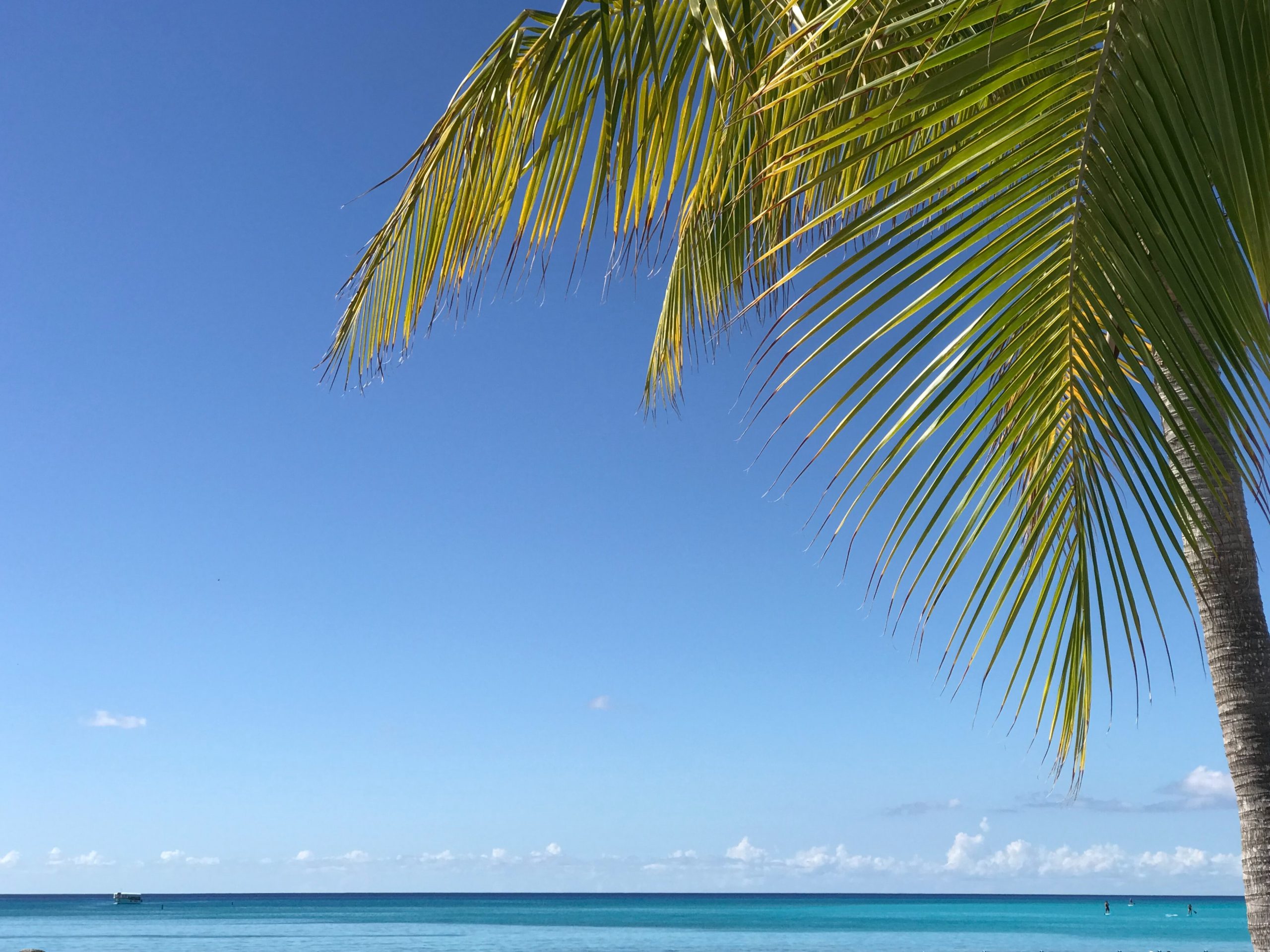 Hilversumse Bahama's - Muzikaal Spreker Nicolaas Duin